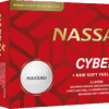 Nassau cyber dozijn